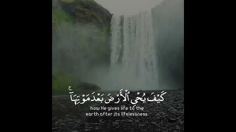 تلاوة هادئة تريح الأعصاب 😴🎧 | القاريء المعتصم بالله حسام - سورة الروم 🤍🌥️."