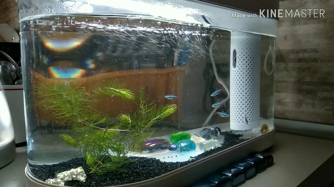 Xiaomi Ai Smart Modular Fish Tank