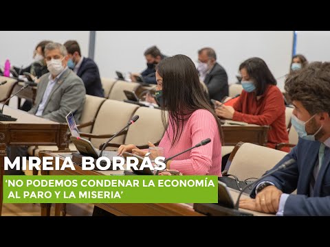 Borrás, contra el mantra climático: ‘No podemos condenar la economía al paro y la miseria’