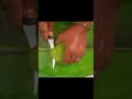 art#vege#raw mango#food#raw mango different shape cutting style garnish idea #raw mango carving art.