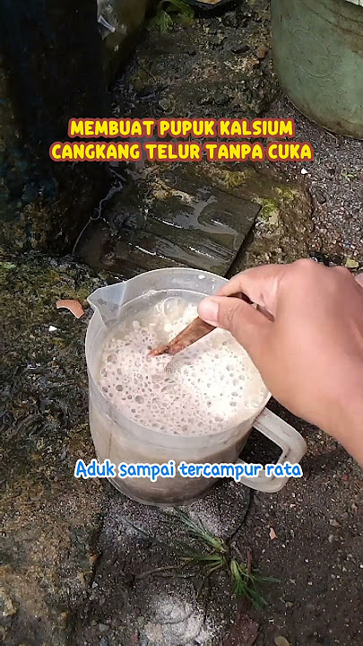 Cara membuat pupuk kalsium dari cangkang telur tanpa cuka #gardening #gardeningtips #fertilizer