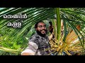 കള്ള് ചെത്തുന്നത് കണ്ടിട്ടുണ്ടോ? | Toddy Tapping Method In Kerala | ചെത്തി ഇറക്കിയ കള്ളും മീൻ കറിയും