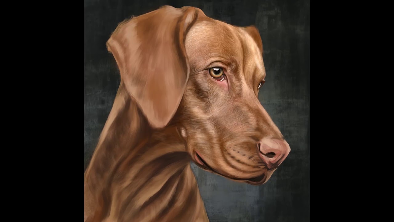 ipad Pro Procreate 4 1 Painting Dog - YouTube ipad Pro Procreate 4 1 Painting Dog - YouTube