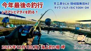 359【今年最後の釣行は海上釣り堀 岬】竿工房なにわ隠岐龍無双MZと