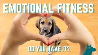 Do You Have Emotional Fitness with your Dog?