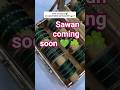sawan coming soon 💚☘️🌿 #trending ##youtubeshorts #ytshorts #viralshorts #viral #shortsfeed #shorts