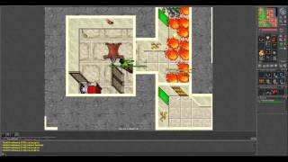 REAL Tibia Gameplay (EXPEDITIONS WITH FURY) Part 1