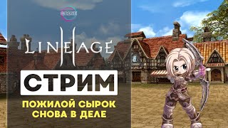 ASTERIOX X1 ● КАЧАЮ СЫРКА ● СТРИМ LINEAGE2 ● ЧИТАЮ ЧАТ ● РЕФЕРАЛЬНАЯ ССЫЛКА В ОПИСАНИИ