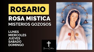 Rosario a la  Virgen Rosa Mística  Misterios Gozosos/ Lunes, Miércoles, Jueves, Sábados y Domingo.