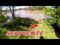 Pesca en Río Infestado de SERPIENTES