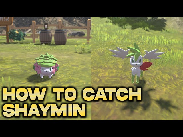 How To Get A Shaymin In Pokemon Legends Arceus? - Gamer Tweak