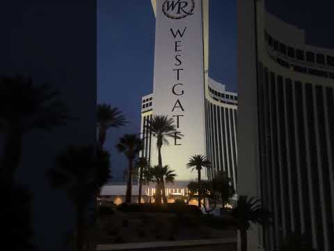 Pov : You get lost in the Casino Monaco Parking 馃槼 #automobile #business #monaco #entrepreneur #car