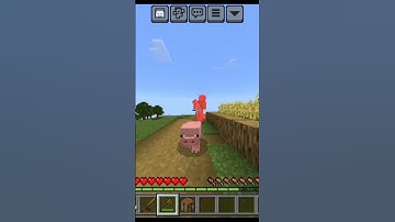 MINECRAFT, BUT IF YOU SUBSCRIBE I