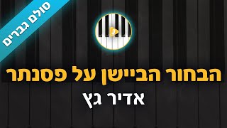 Video thumbnail of "הבחור הביישן על פסנתר - אדיר גץ - קריוקי בליווי פסנתר - סולם גברים | פלייבק | קאברס"