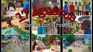 Lomba 17 Agustus di Plantation Group 1 Great Giant Pineapple Lampung