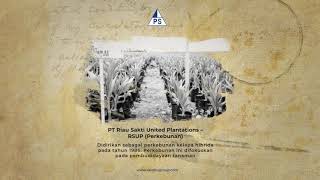 PT Riau Sakti United Plantations divisi Perkebunan