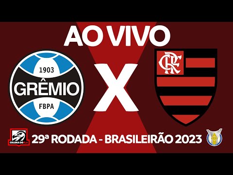 Flamengo x Palmeiras - Curiosidades da partida - Coluna do Fla