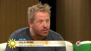 Så får du hunden att koppla av  Nyhetsmorgon (TV4)