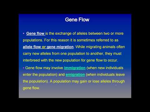 Genetic Lec (
