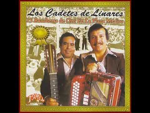 No Vuelvo Amar - Los Cadetes de Linares