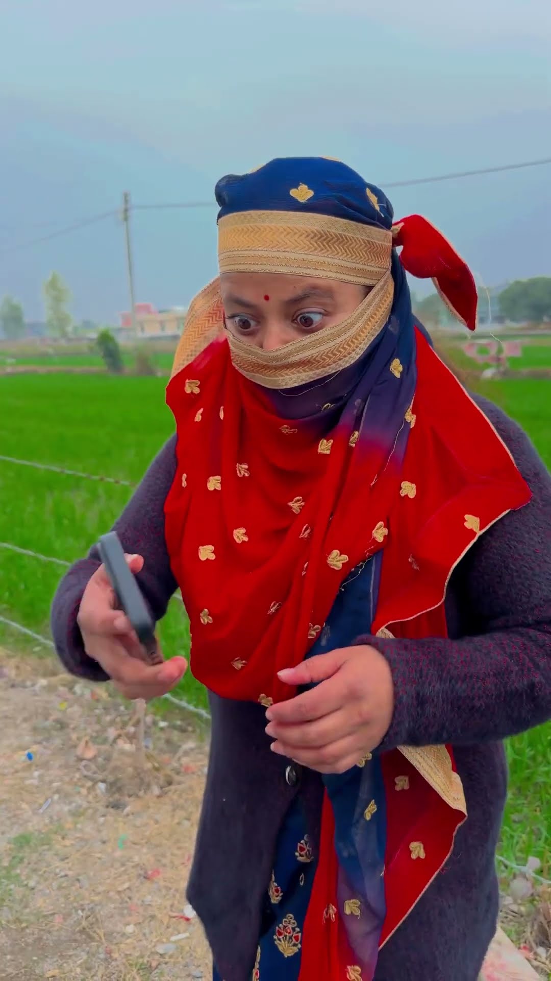 Kabootri ?? #shorts #trending #ytshorts #funny #iphone
