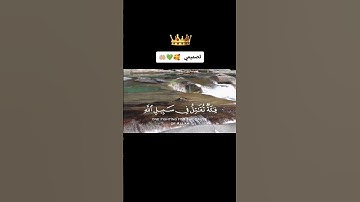 من سورة آل عمران 🤲🏼💚 بصوت الشيخ أبو طلحة الظاهري 🌿 #إدلب #فلوغ #قرآن