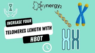 Celebrity How Hyperbaric Oxygen Therapy Can Increase the Length of your Telomeres for Life Longevity Wealth