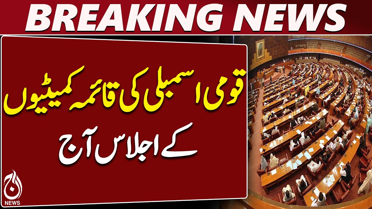National Assembly Committees Meet Today