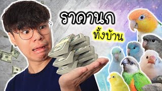 ราคานกในบ้าน แต่ละตัวราคาเท่าไรบ้าง? และภาพวัยเด็ก | My PET EP.28