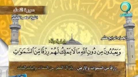 المصحف المرتل للشيخ ماهر المعيقلي | سورة النحل ( 16 )