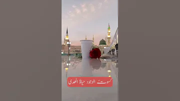 سم و ت بنور يضيء الد نا بدر النفيس 