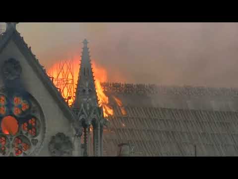 Video: Notre Dame Menyebabkan Keracunan