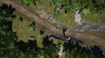 Living Battlemap Goblin Ambush Mid Day (1H)