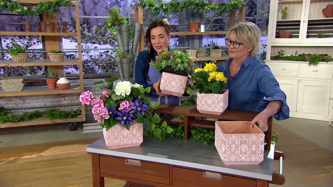 Barbara King Indoor/Outdoor Square Embossed Cement Planter on QVC