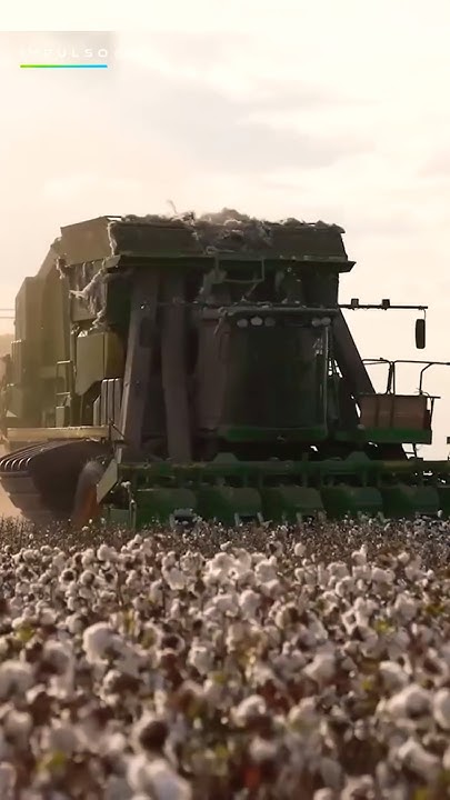 Sustentabilidade começa com boas práticas no campo