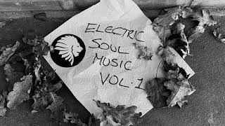 Denney - Pive Agressive