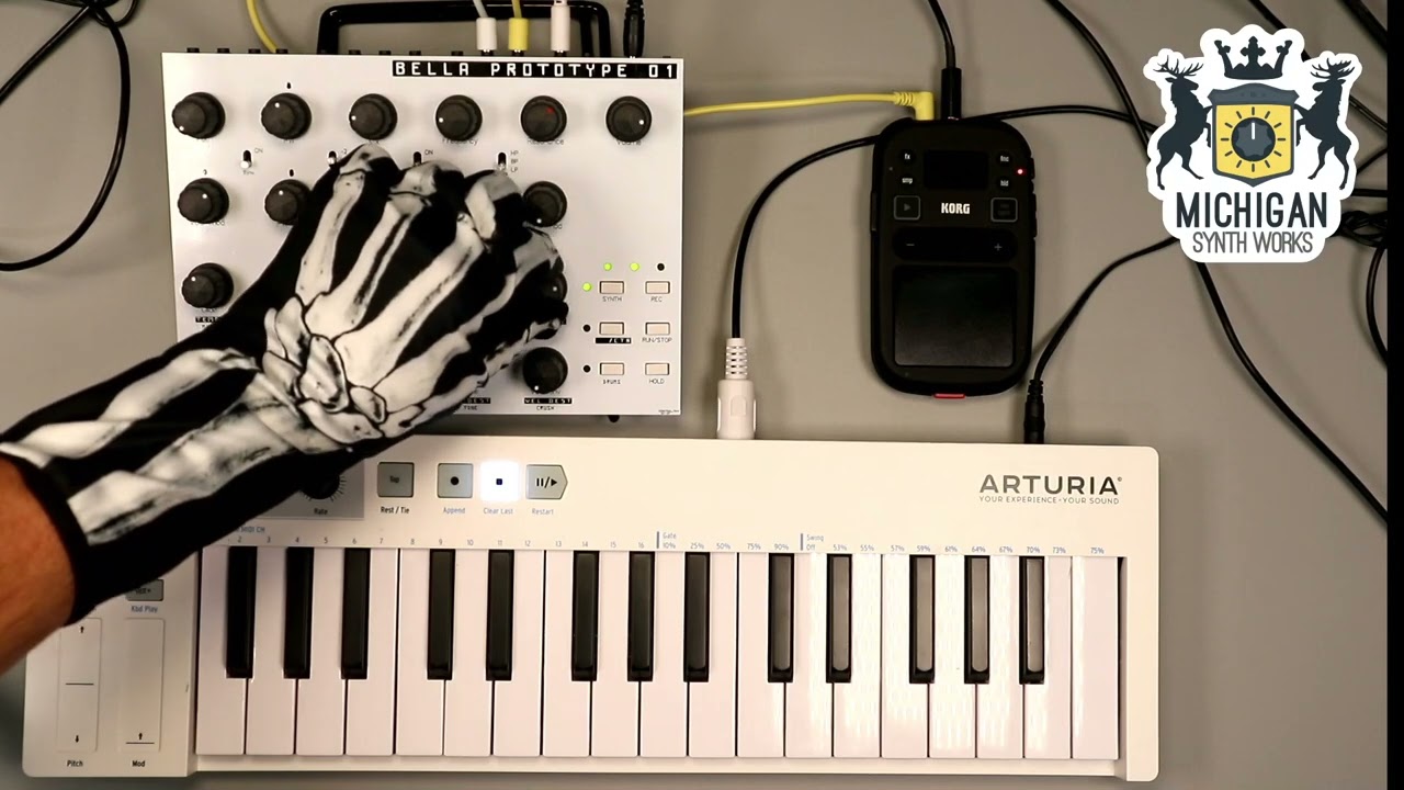 Mutable Instruments Anushri アナログシンセサイザー