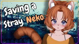 Stray Neko Doesn't Trust you... Yet