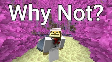 Why Mojang refuses to add an End Update