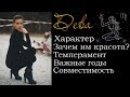 Кто такие ДЕВЫ?