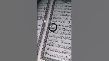 عينا فيها تسمى سلسبيلا.. الشيخ محمد اللحيدان سورة الإنسان