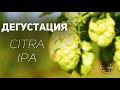 Дегустация Citra IPA