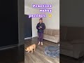 Practice! #dog #dogcoach #dogtrainer #frenchbulldog