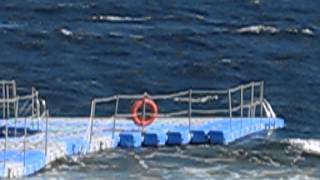 Candock in the waves 9