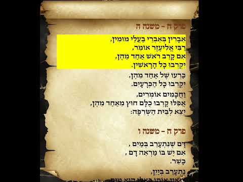 משניות זבחים פרק ח משנה ה