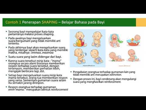 Kuliah Modifikasi Perilaku : Shaping