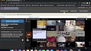 VoiceThread: Watch a Lesson Assignment