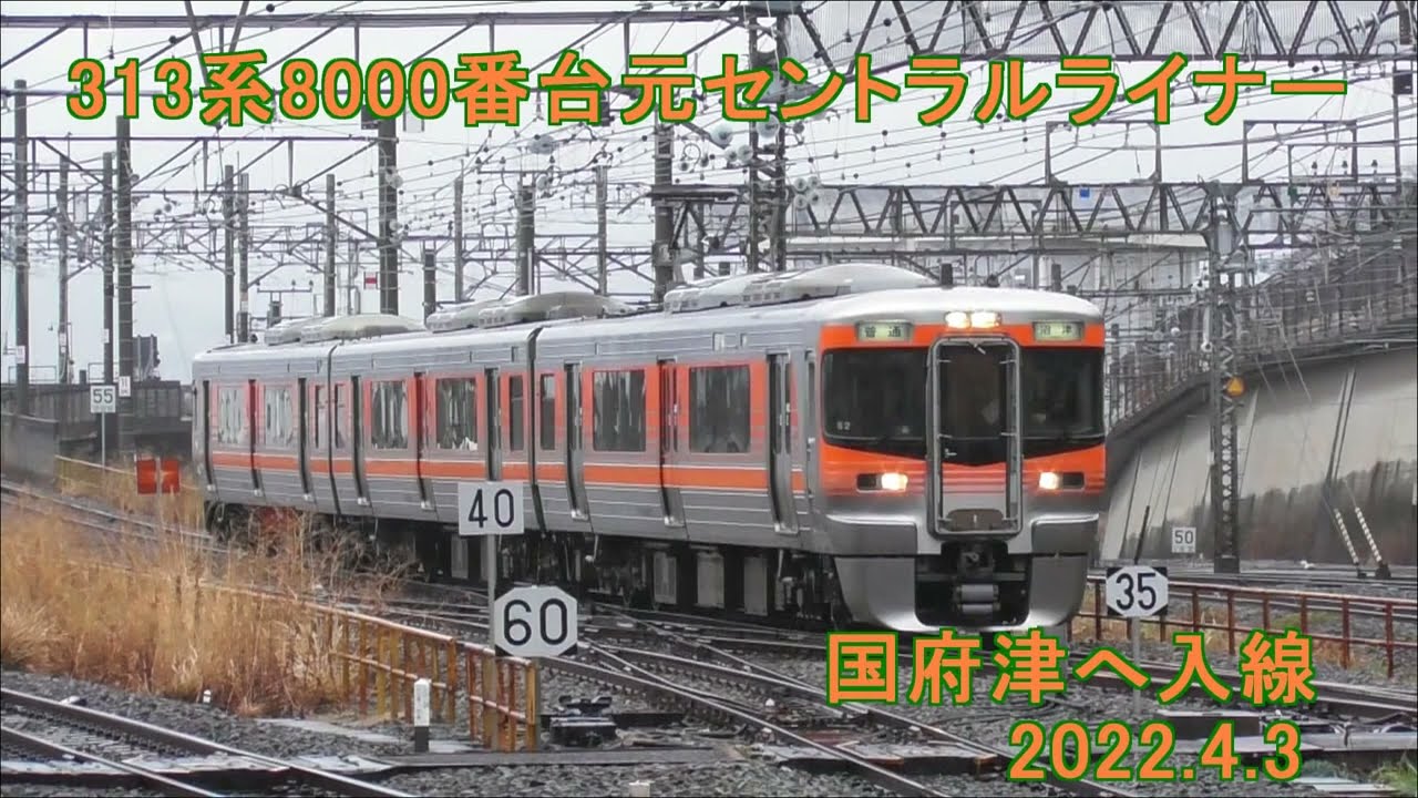 御殿場線】313系8000番台(元セントラルライナー)国府津へ入線 2022.4.3