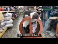 iCat 寵喵樂-跑跑風火輪運動貓抓板 (QQ81044) product youtube thumbnail