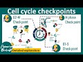 Cell cycle checkpoints   dna damage checkpoint  spindle assembly checkpoint  cell biology